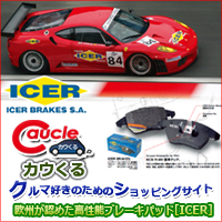 ICER特設サイトへ