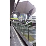 東京モーターショー２０１１