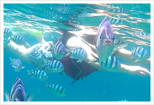 pic_snorkeling_14.png