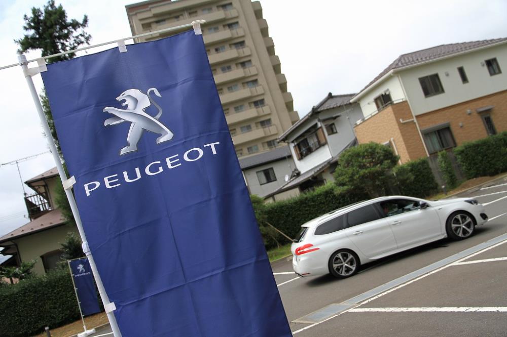 Peugeot-D01.jpg