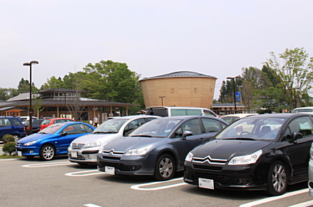 46.jpg