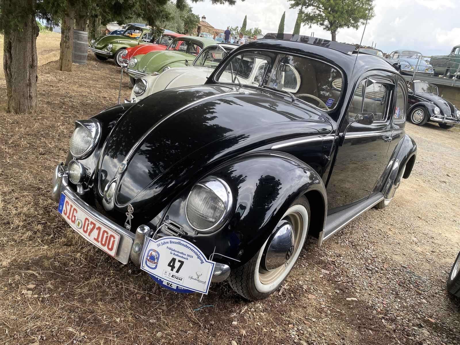 5107.jpg