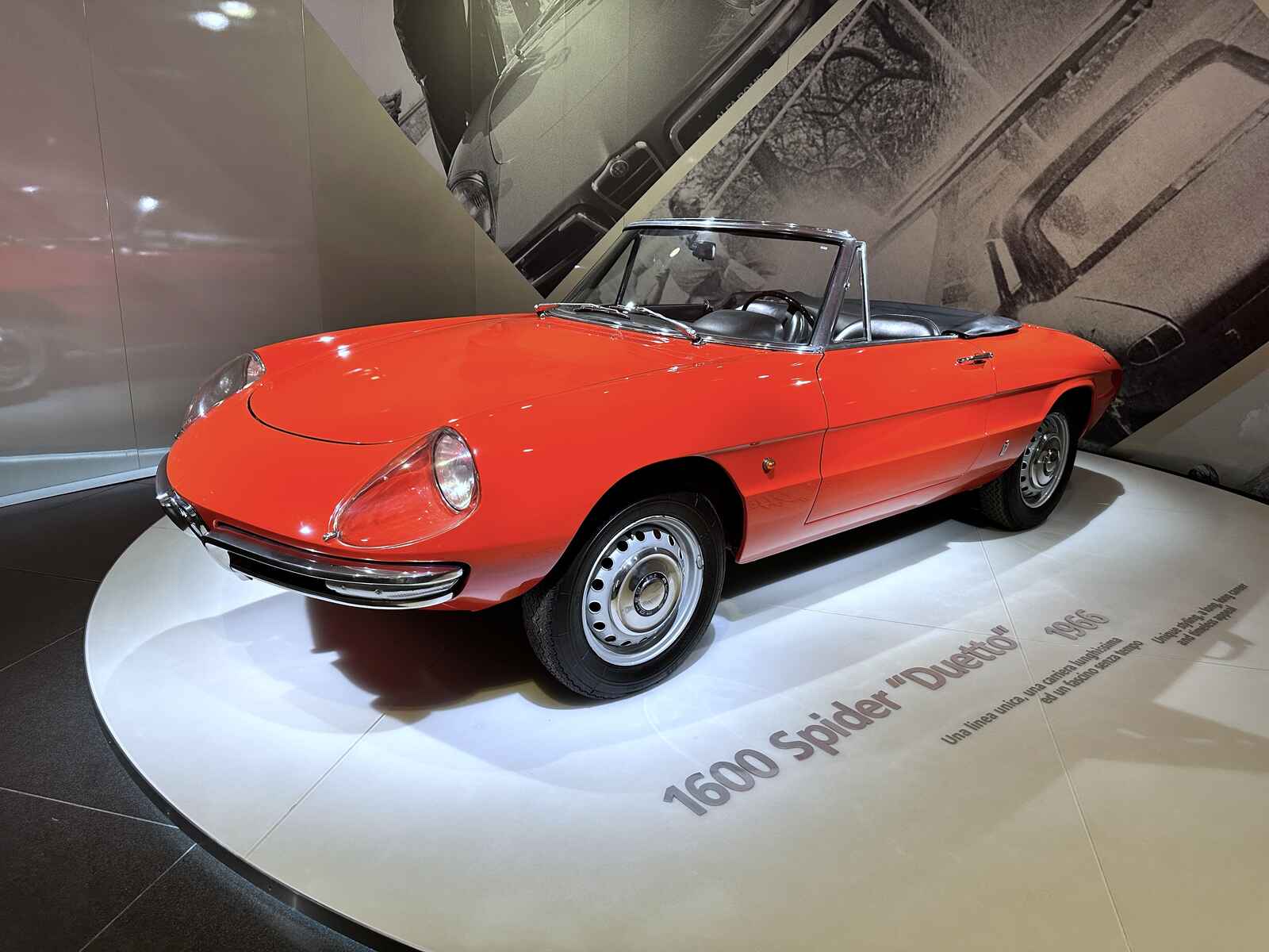 5704.jpg