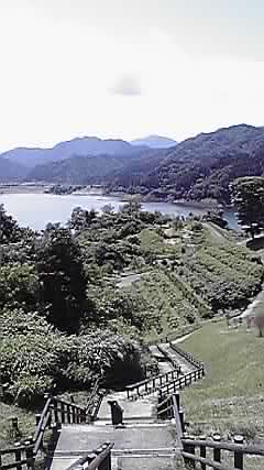P1000102.jpg