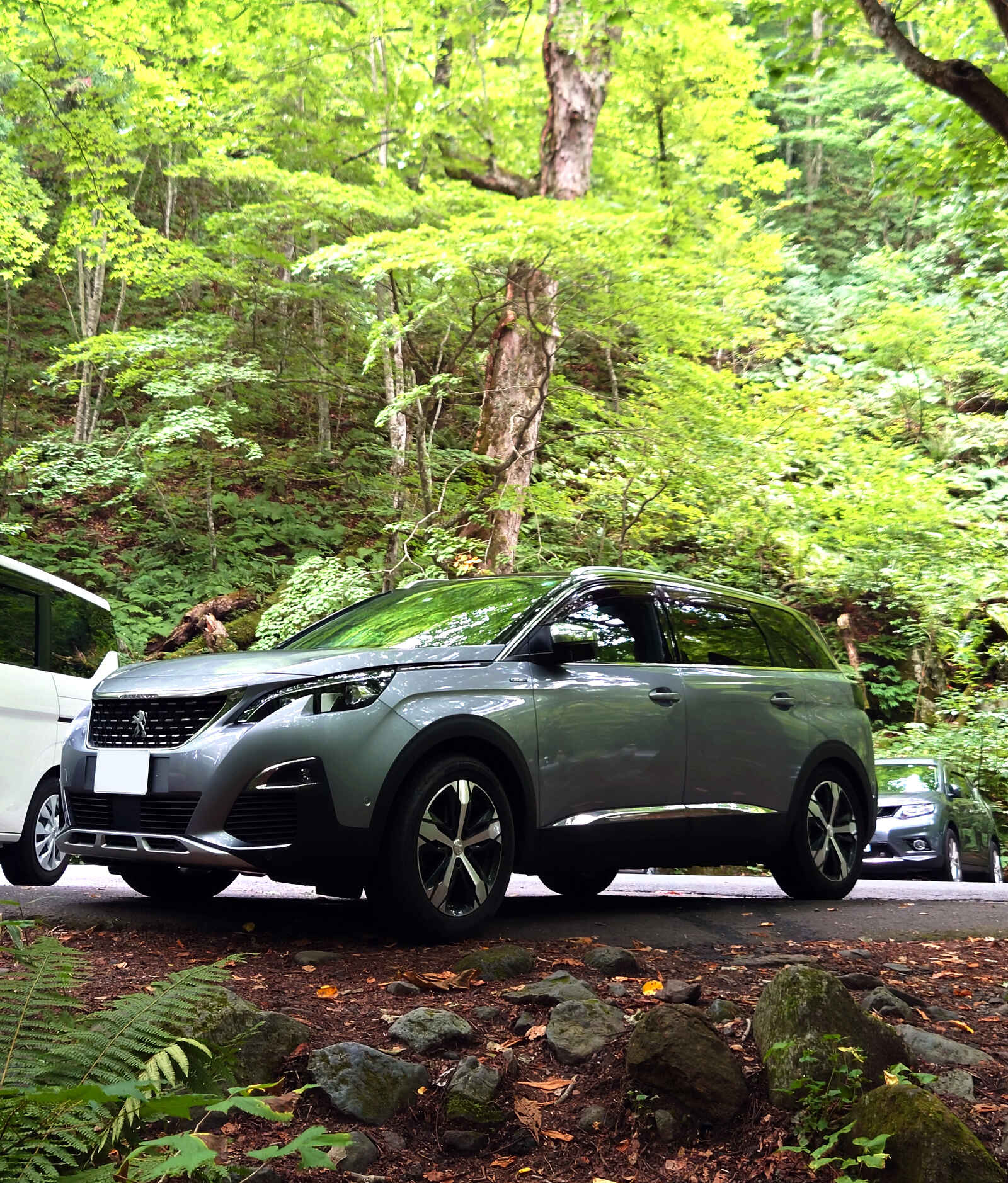 PEUGEOT5008