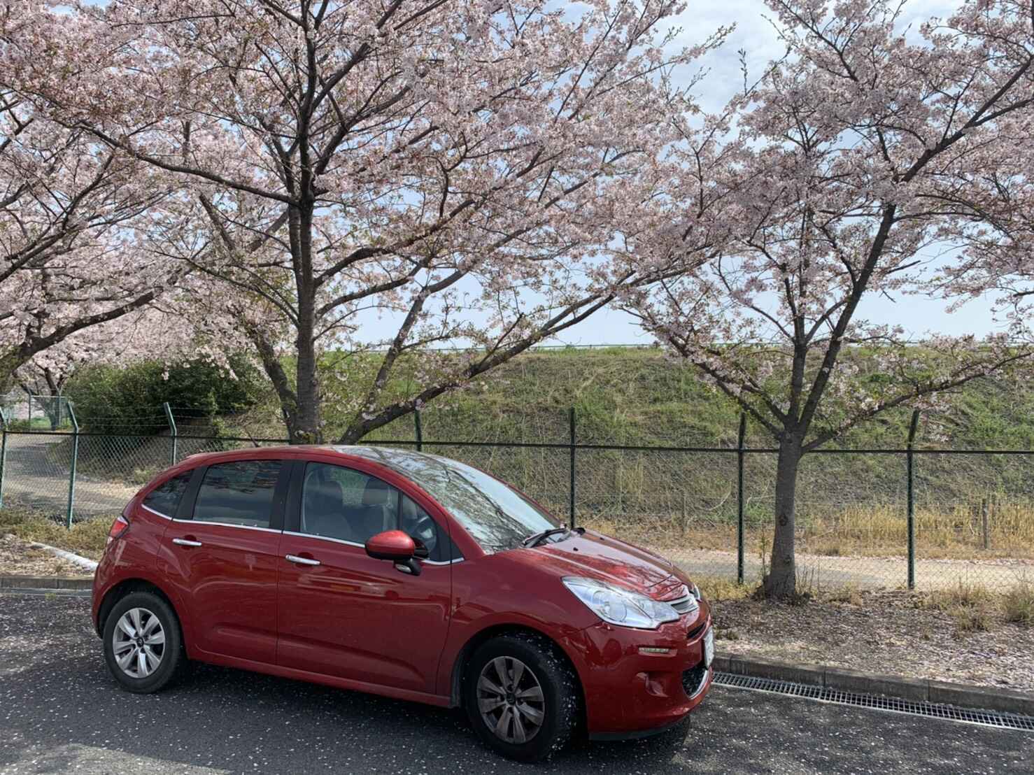 プロフィール3に写真を追加してください。