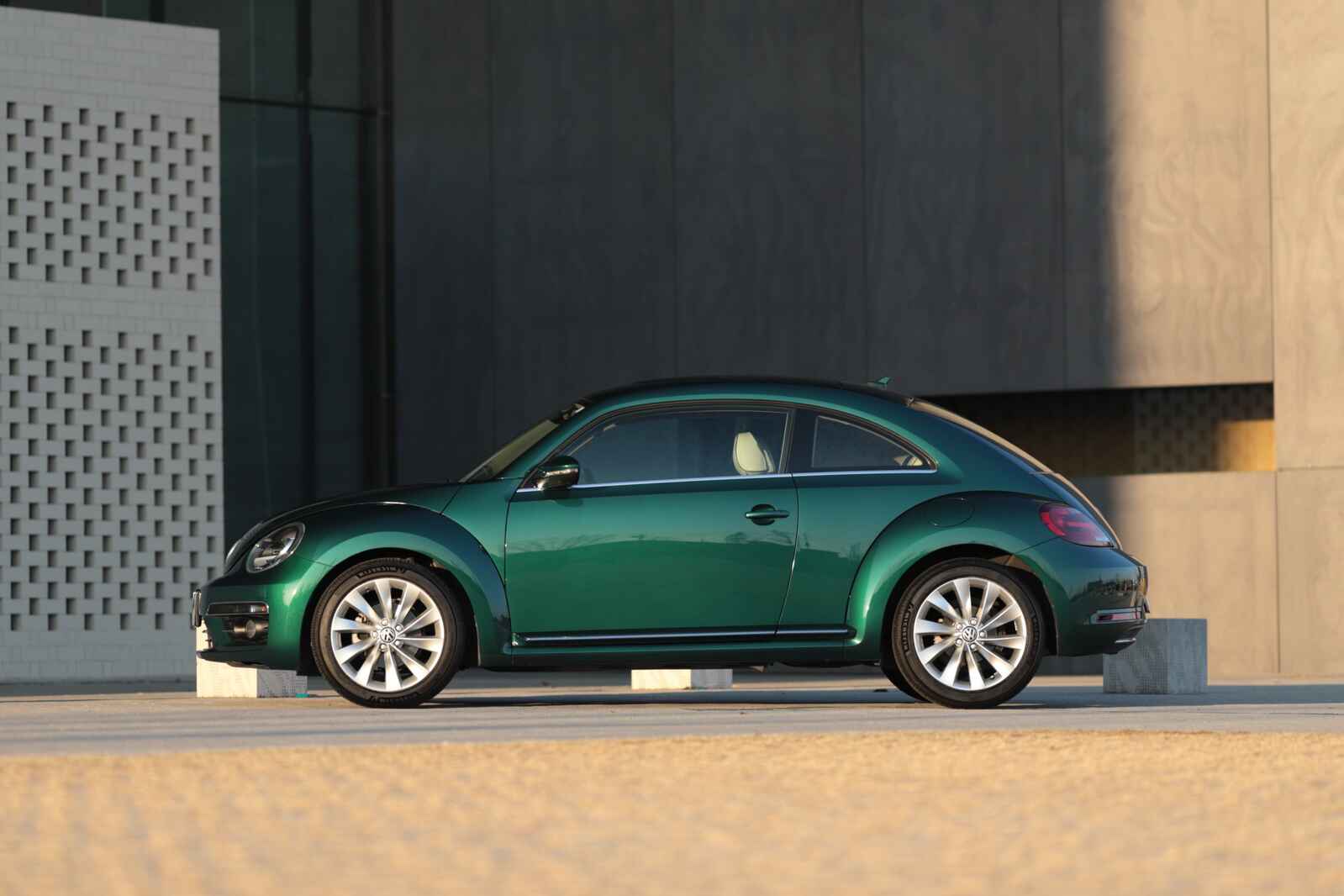 Beetle