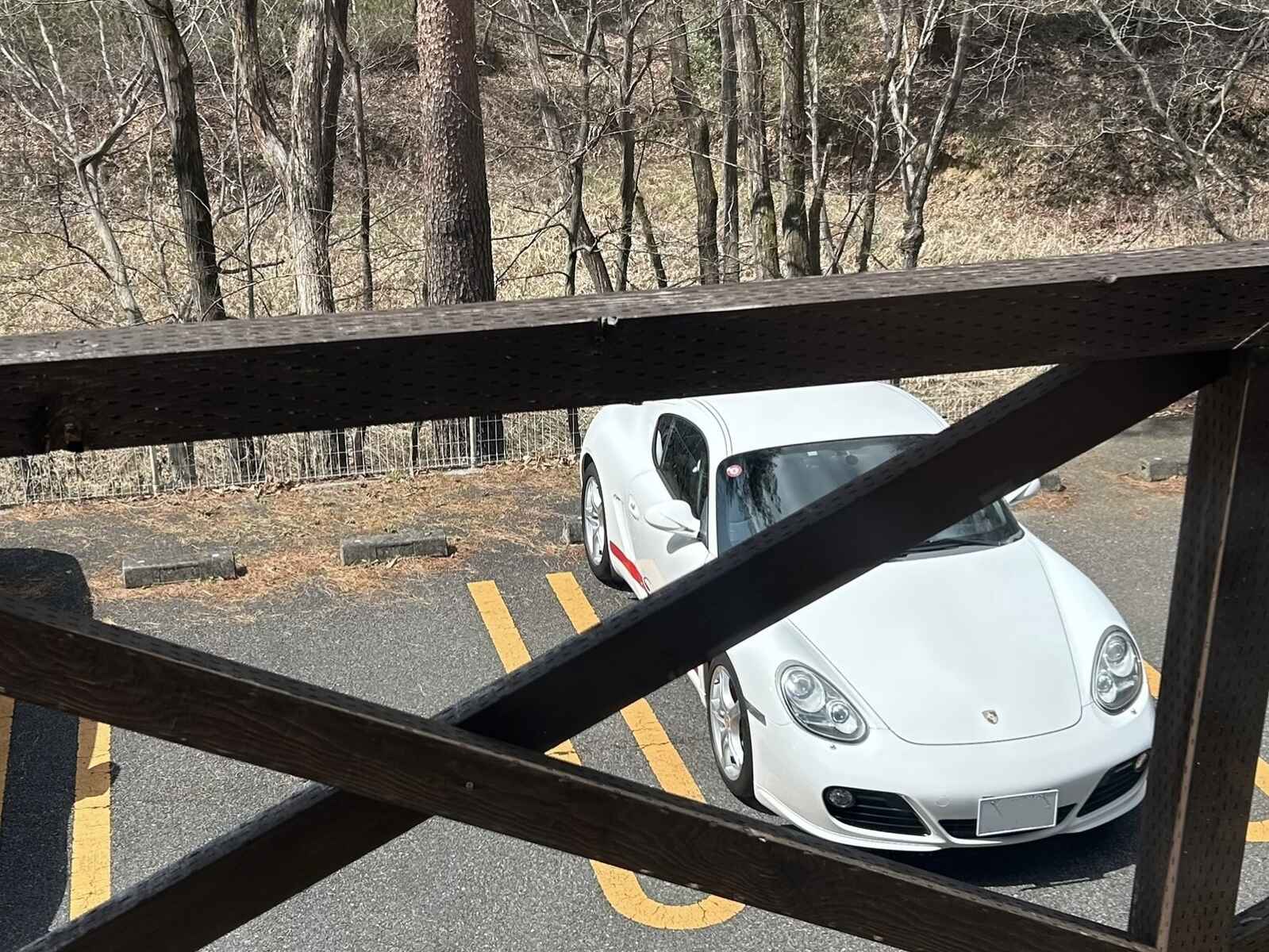 ケイマン