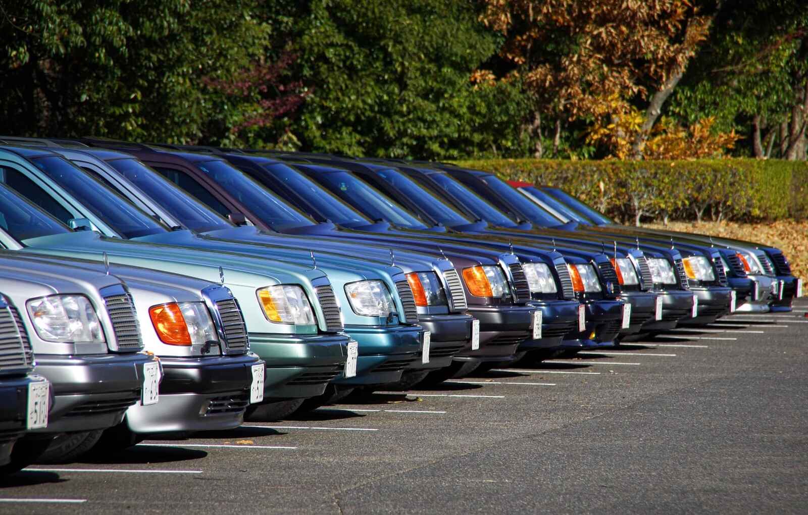 プロフィール2に写真を追加してください。