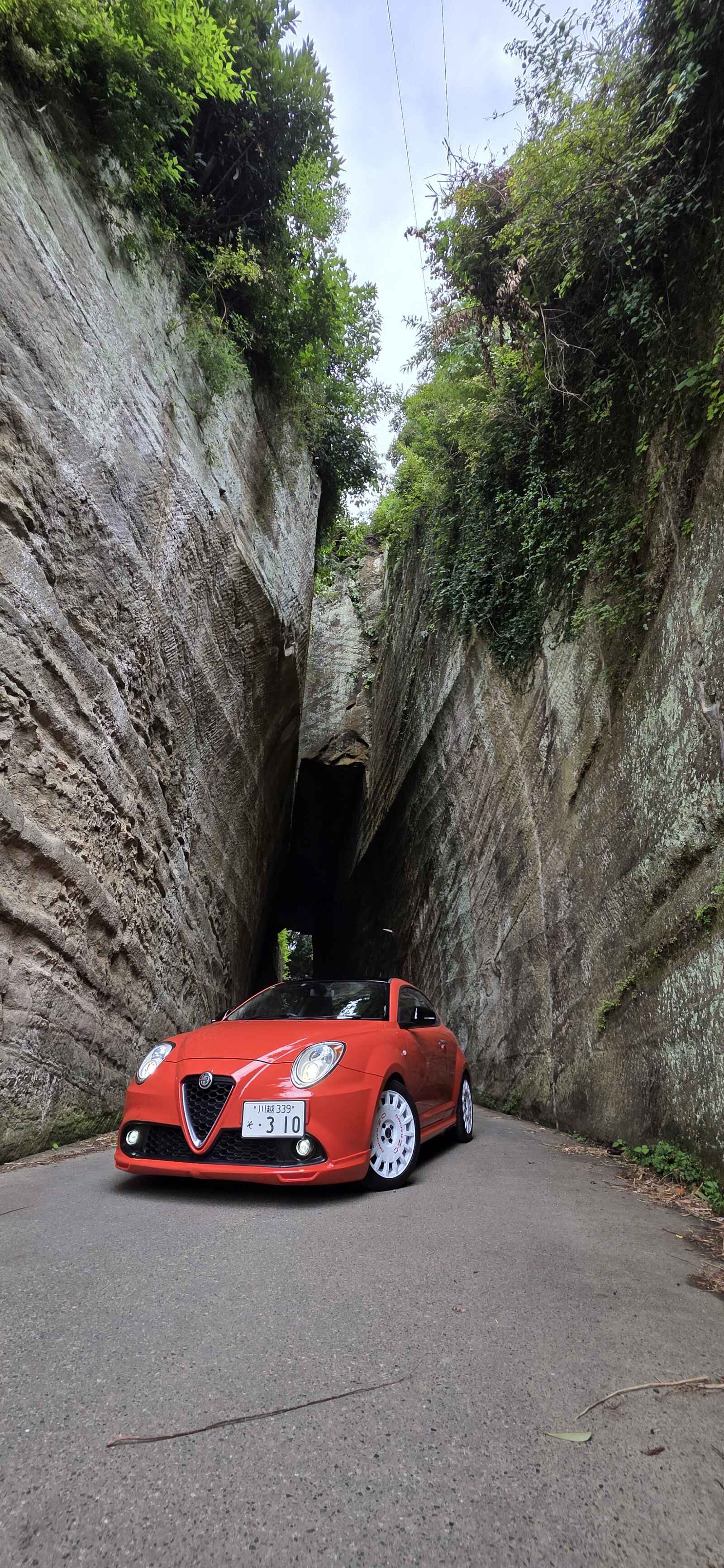 MiTo