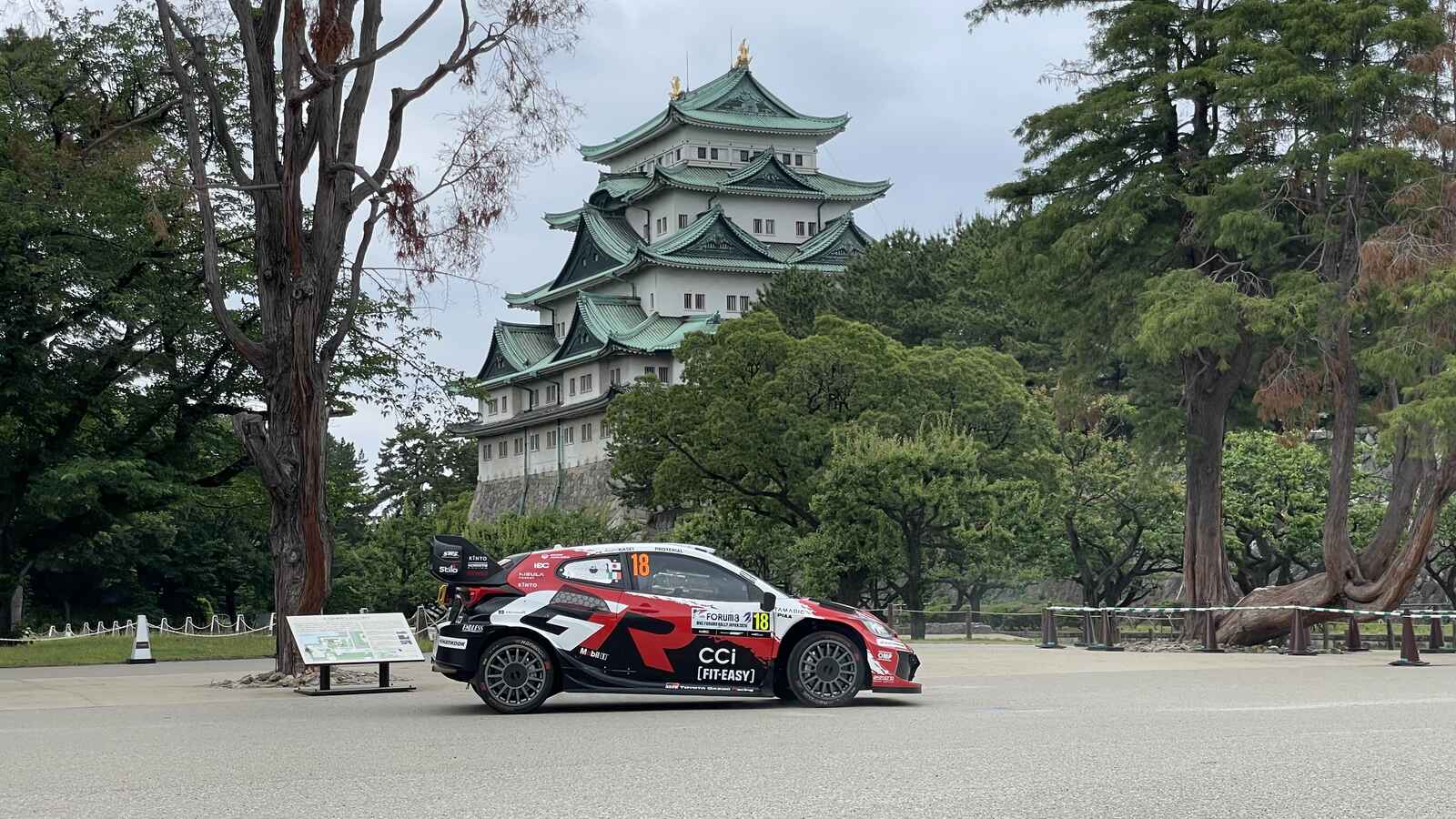 IMG_2394.jpeg