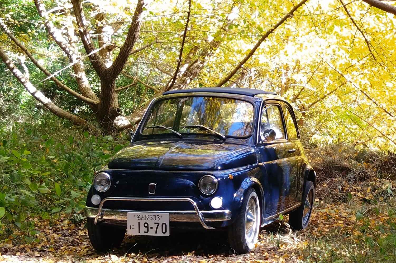 チンクエチェント