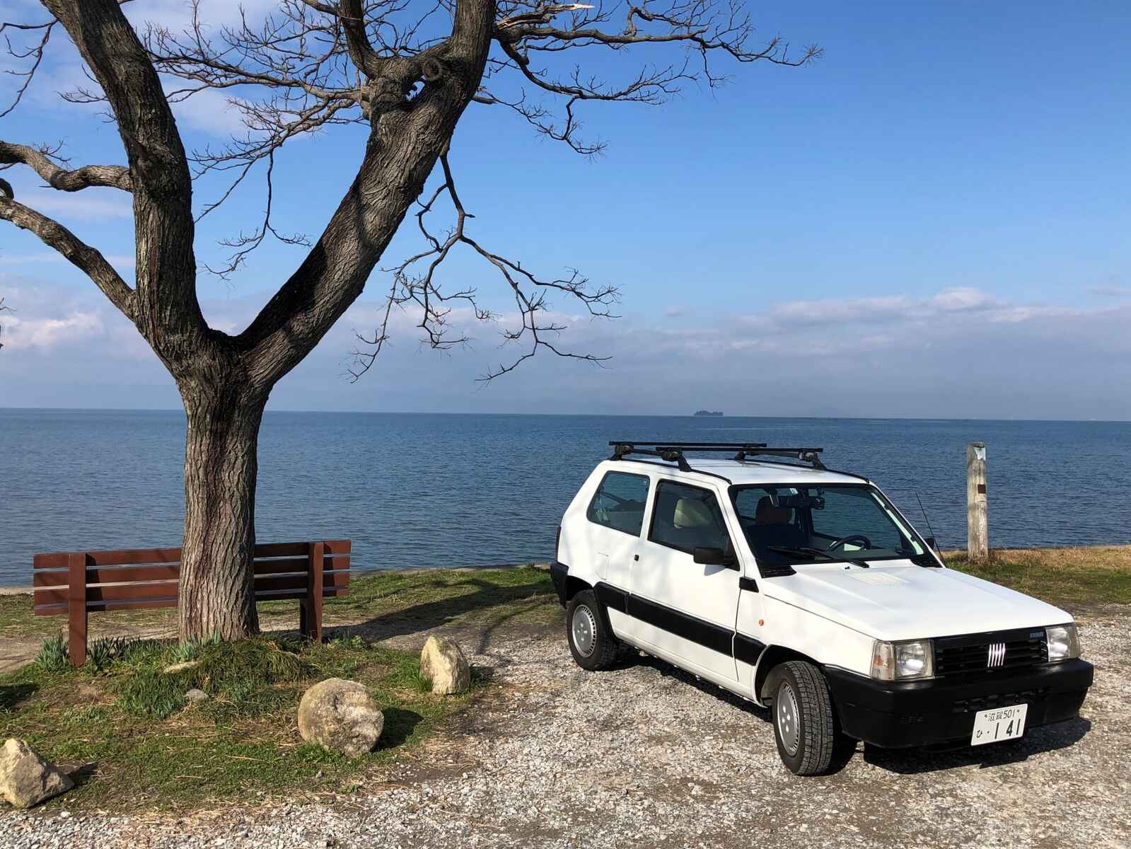 運命の出会いのパンダ