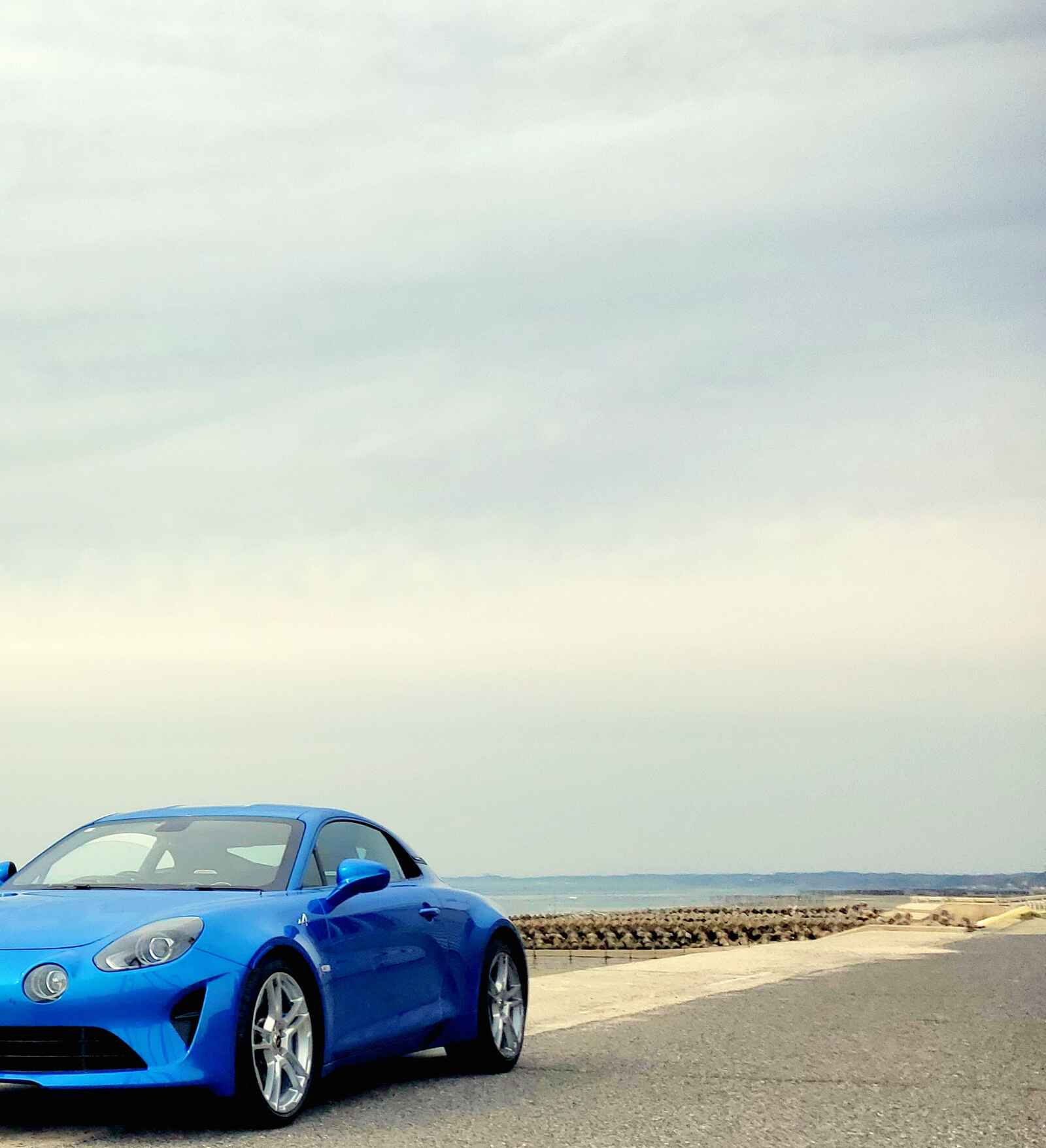 アルピーヌくん