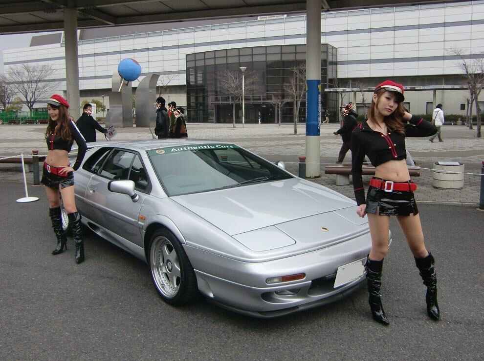 枯葉