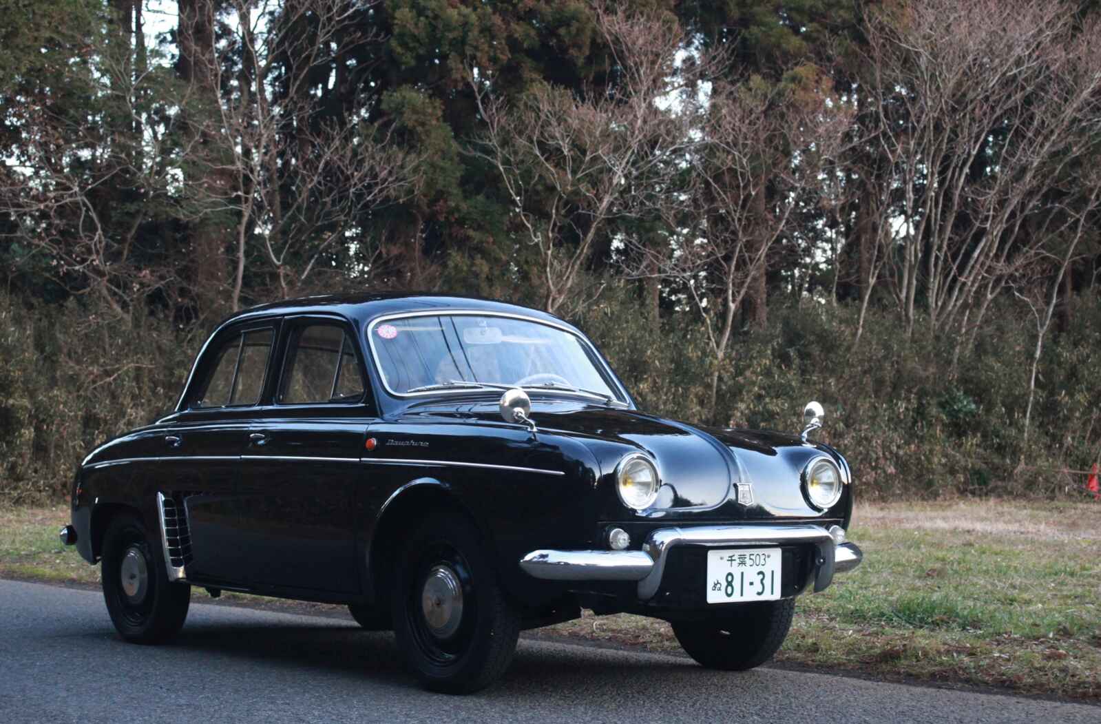ドーフィン