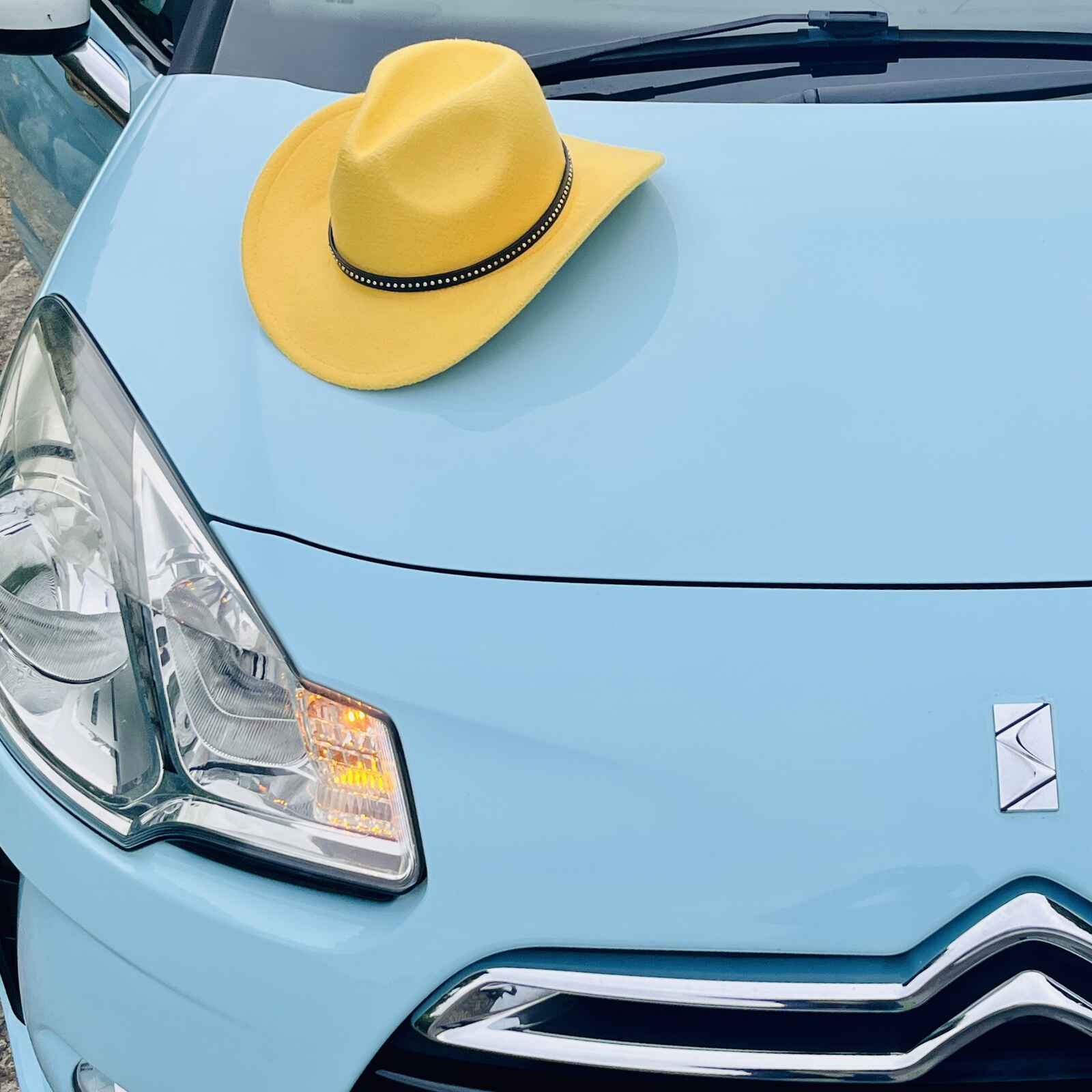 DS3