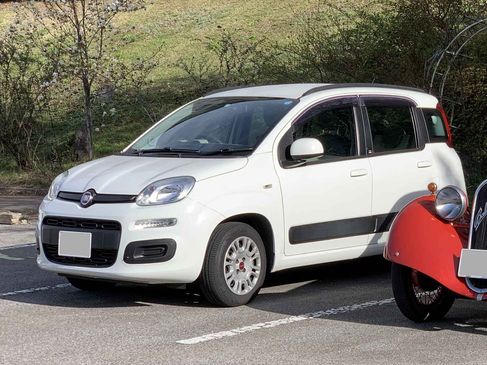 Panda 5MT