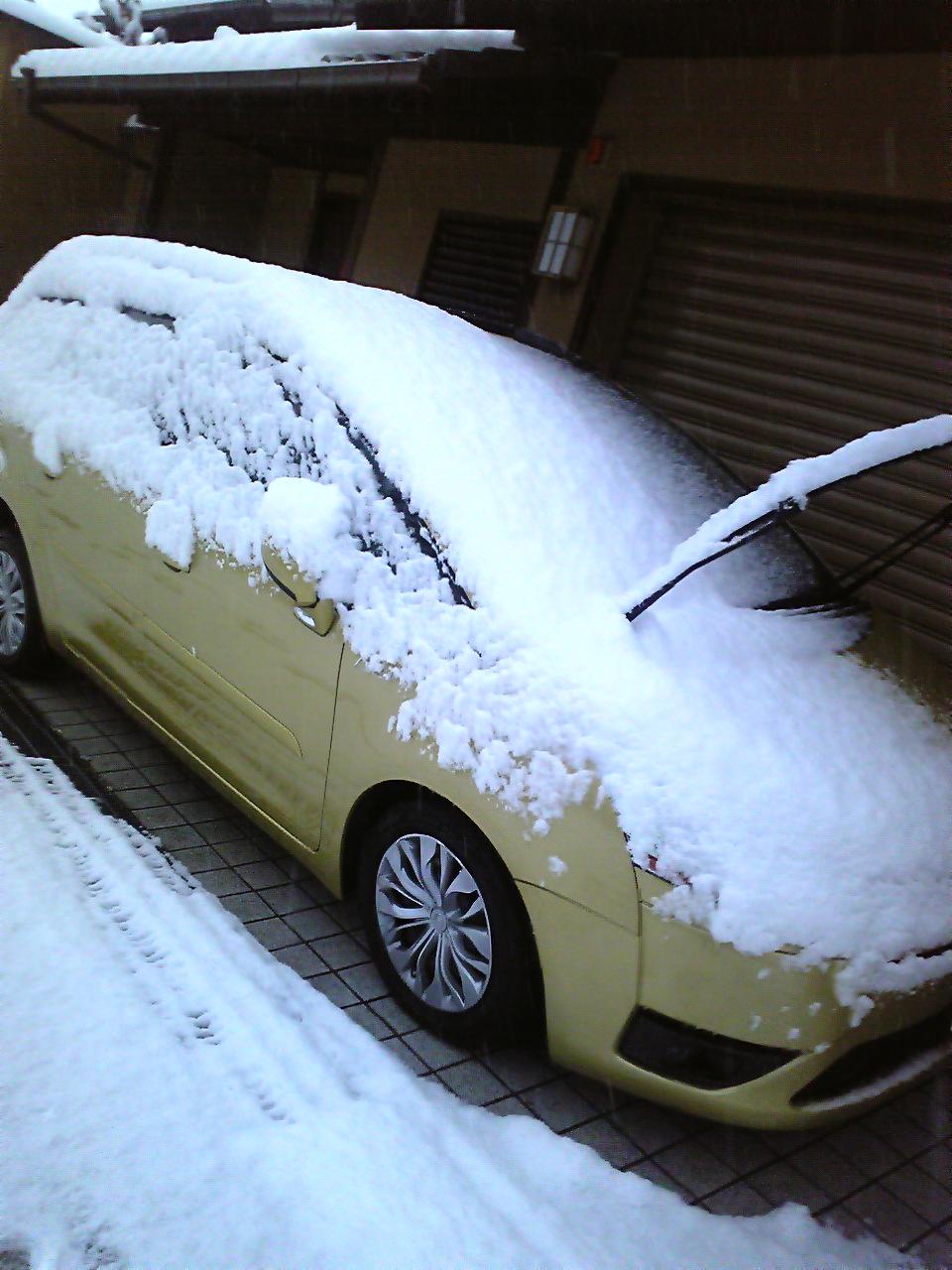 120202_065730.jpg