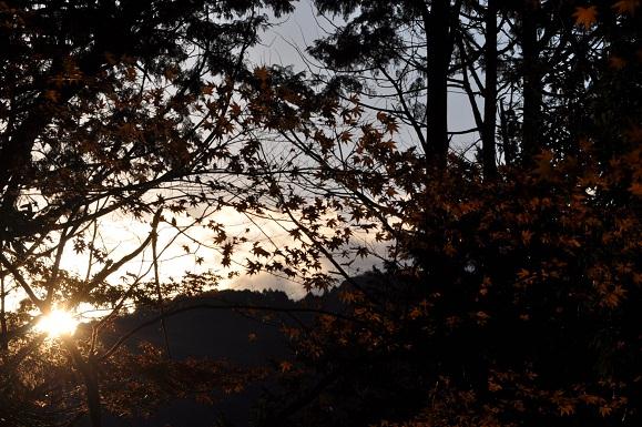 DSC_3028.JPG