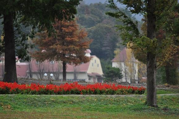 DSC_2604.JPG