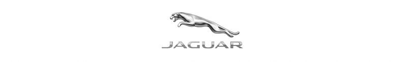 jaguar01.jpg