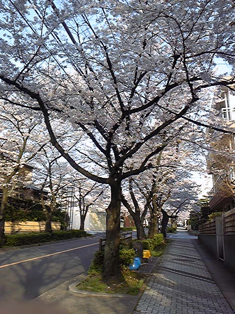 100406_065430.jpg