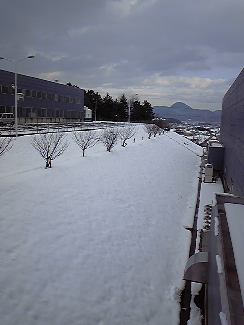 110118_152451.jpg