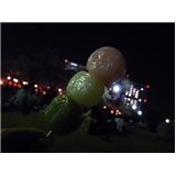 P1110859.JPG