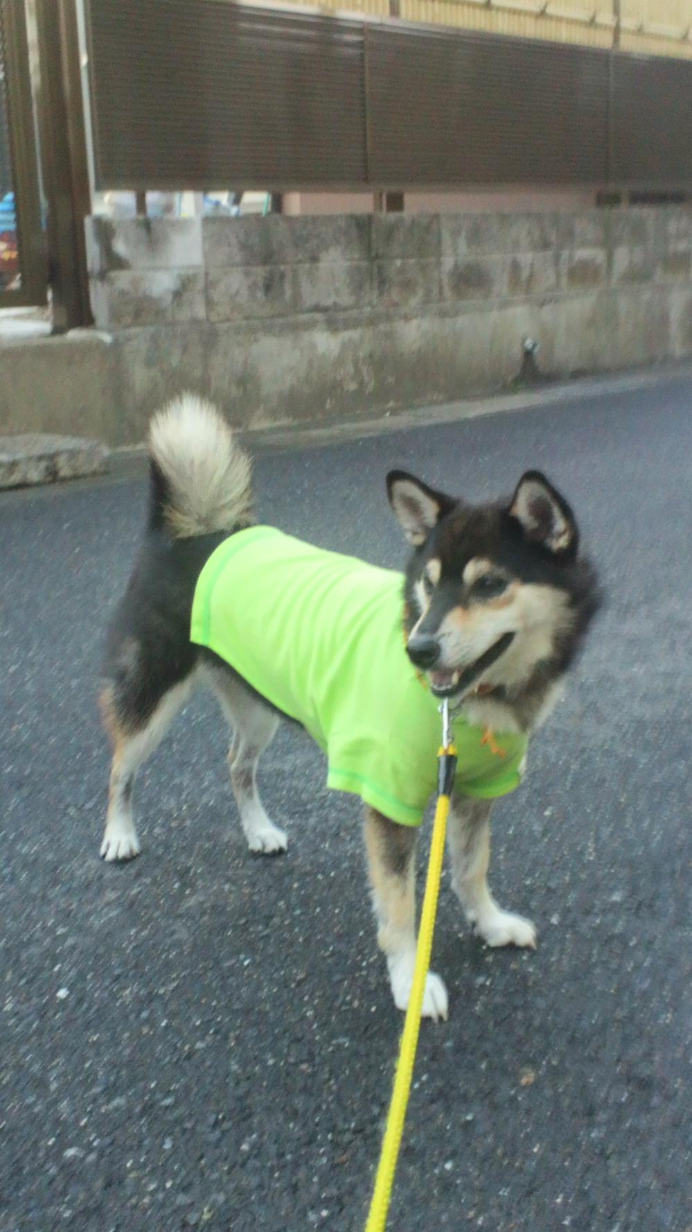 2011081617230000.jpg