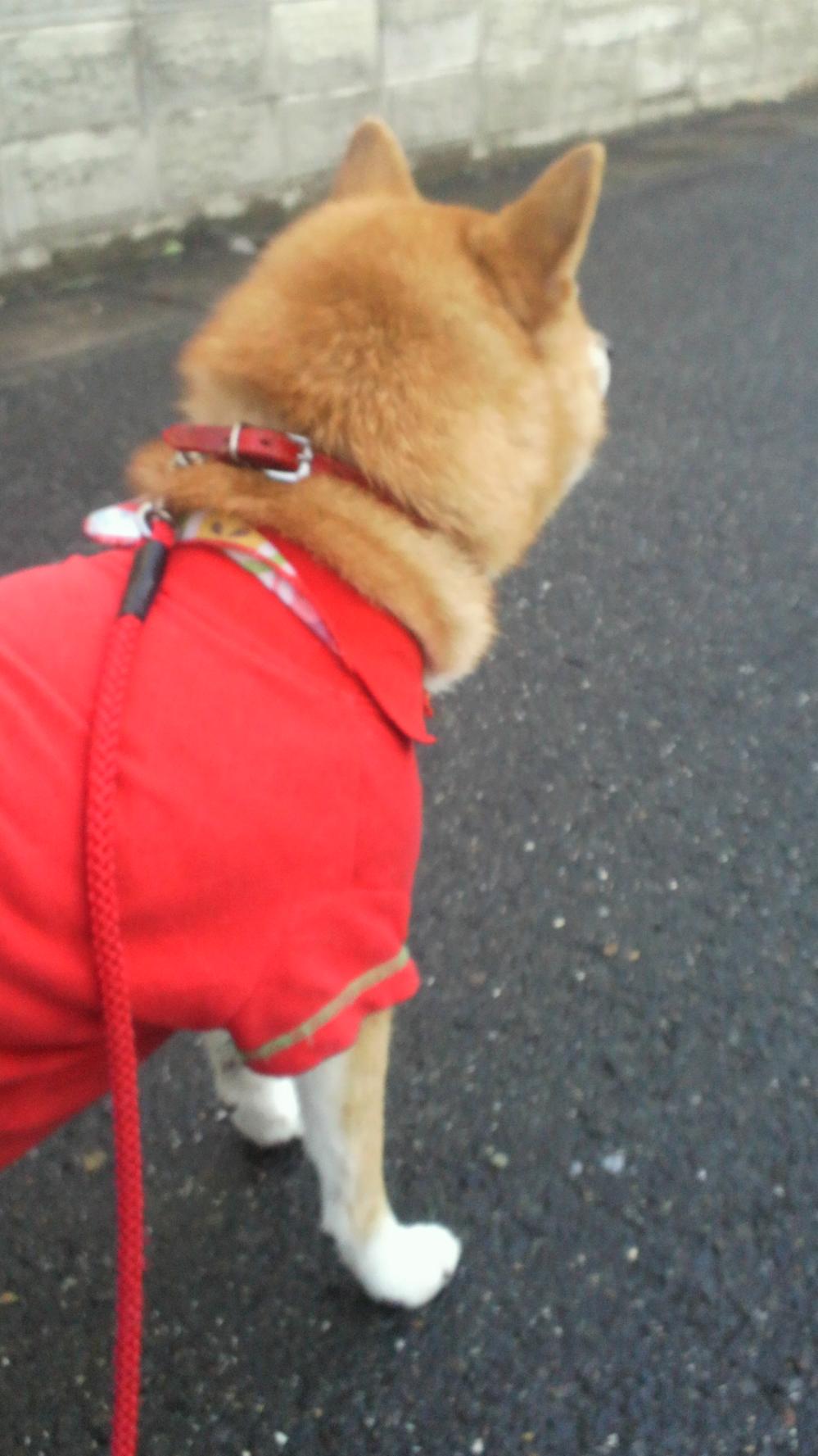 2011081617230001.jpg