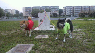 2011081818280000.jpg