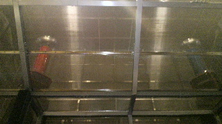 2011081910230000.jpg