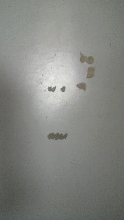2011082008420000.jpg