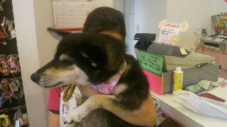 2011082012150000.jpg