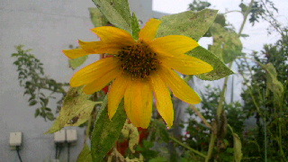 2011082206450000.jpg