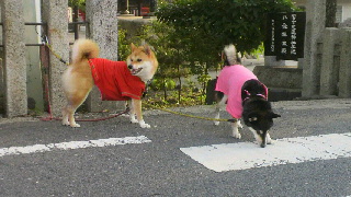 2011082406310000.jpg