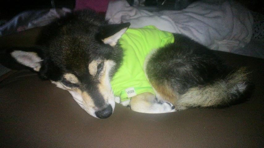 2011083105470000.jpg