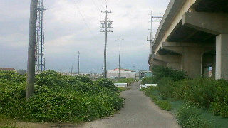 2011090206450001.jpg