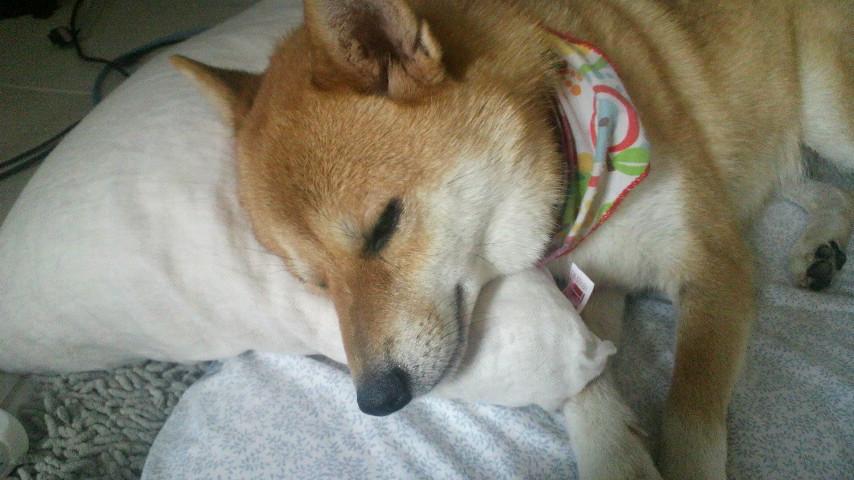 2011090307010000.jpg