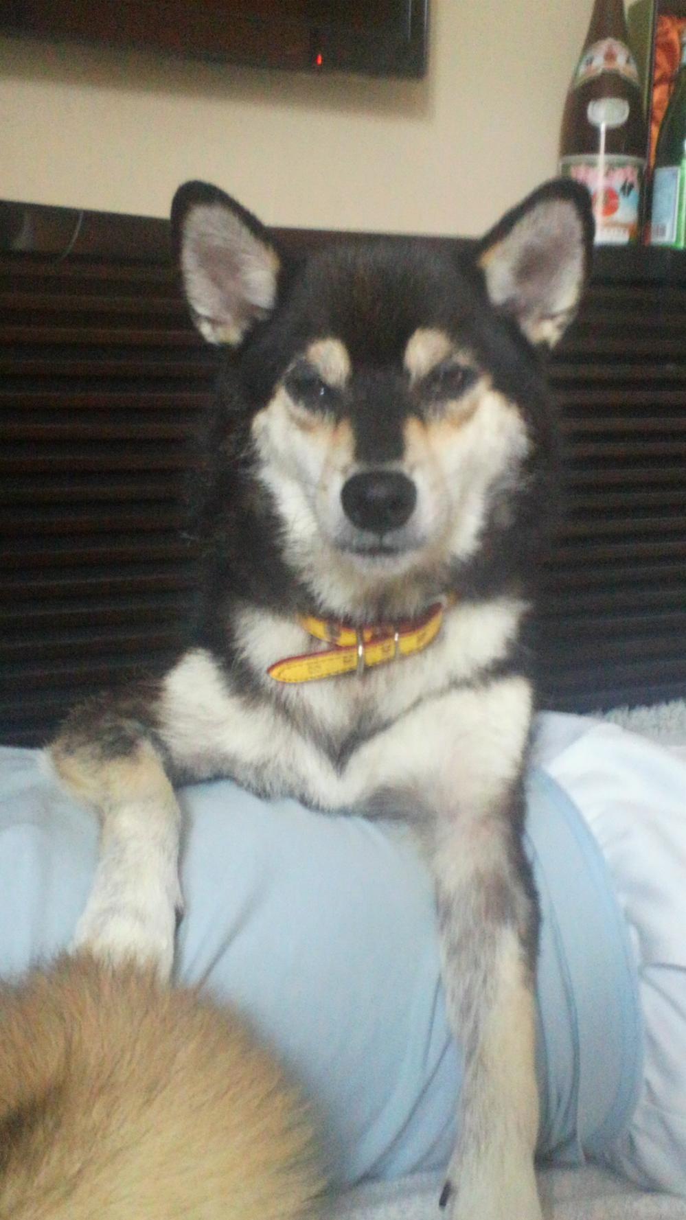 2011090307390000.jpg