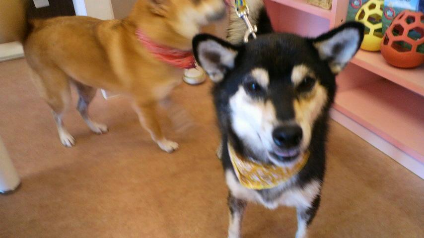 2011090314410001.jpg