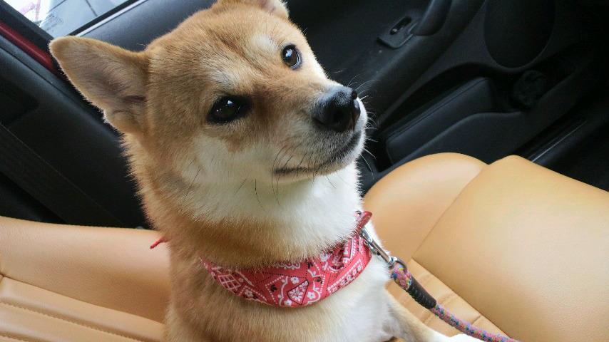 2011090314470001.jpg
