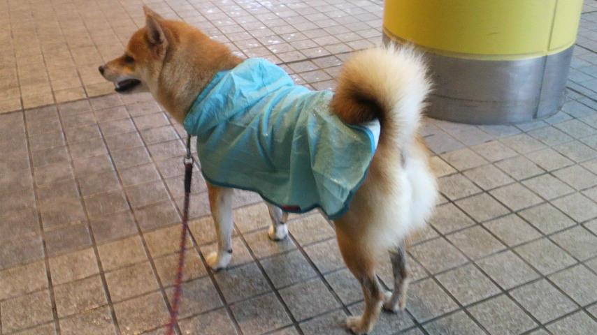 2011090409080001.jpg