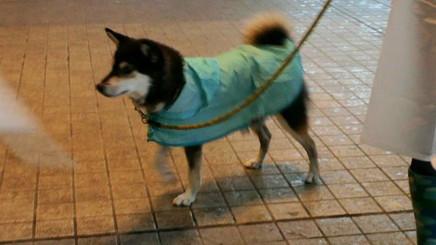 2011090409100000.jpg