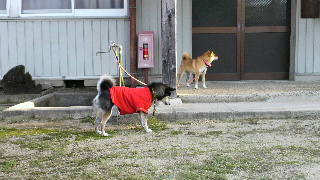 2011090606350000.jpg