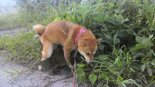 2011090706200000.jpg