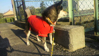 2011090706320000.jpg