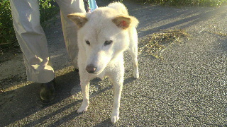 2011090706320001.jpg