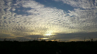 2011090806170000.jpg